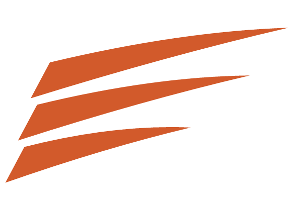 South Easter wind streak brand mark